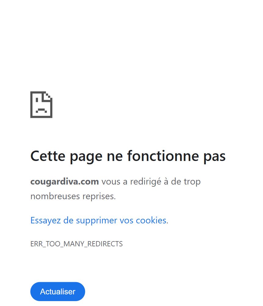 Inscription Cougar Diva - Étape 4 : Et là, ça coince